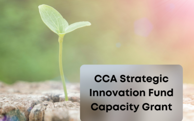 CCA Strategic Innovation Fund: Cultivate Grants