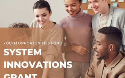 YOF: Systems Innovations Grant